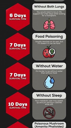 How Long Would You Survive Without These Things? Checkout this comparison!