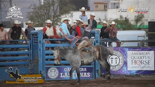 7.8K views · 194 reactions | XXVIII Campeonato Nacional de Rodeo 2024 / Día Sabado Caballos con Pretal y Montura No contamos con los derechos de autor de la música de fondo | Promotora de rodeos - Prorodeo | Facebook