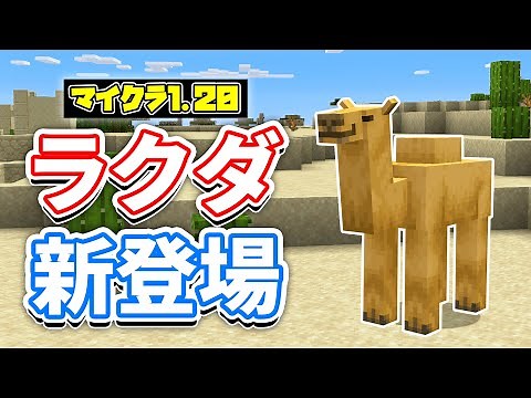 【マイクラ1.20】ラクダ(Camel)が新登場！竹ブロック・吊り看板・模様入り本棚・イカダなど詳しく解説‼【マインクラフト1.20】SNAPSHOT 22W42A