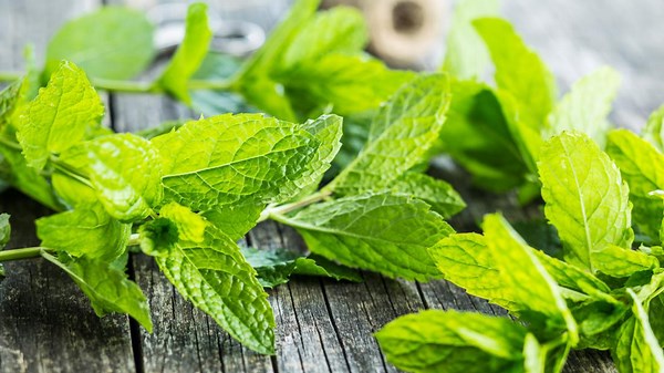 The Health Benefits of Mint and How to Use It Every Day