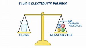 Video: Fluid and electrolyte balance - Overview: Nursing - Video Explanation! | Osmosis | Osmosis