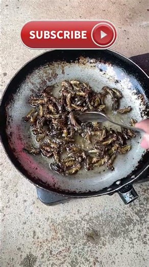 FRYING EDIBLE CRICKETS: A UNIQUE CULINARY ADVENTURE 🦗🔥#shortvideo