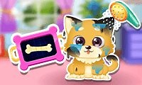 Funny Puppy Care Online - Play Now at A10.com