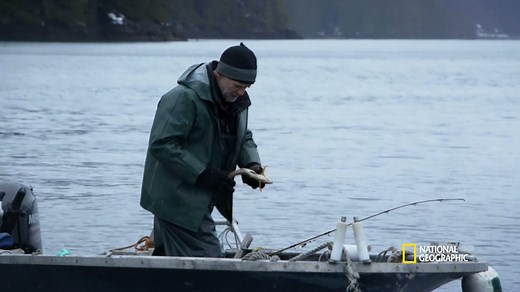 Sam Carlson journeys out to a kelp bed to fish for kelp greenling to use as bait in a mink trap. New episodes of Port Protection: Alaska air Tuesdays at 9/8c on National Geographic. | Life Below Zero