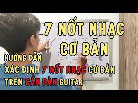 7 nốt nhạc cơ bản & cách xác định nốt nhạc trên cần đàn guitar