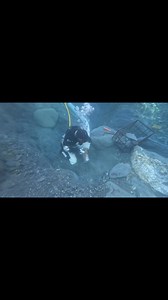 236K views · 4.1K reactions | Springtime Gold dredging. Gold mining in Alaska. #Goldmining #goldprospecting #dredging #kaylajohanson #alaska #goldrush #goldfever | Kayla Johanson | Facebook