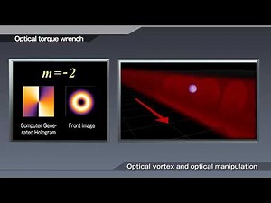 LCOS-SLM (Optical Phase Modulator) Optical vortex and optical manipulation