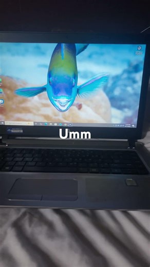 Btw my computer changes wallpaper every time I get on it and it chooses this one😭 #text