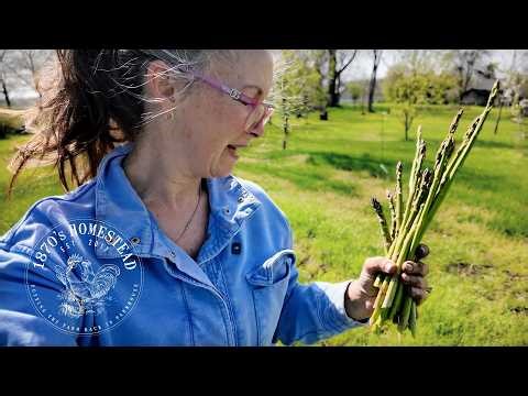 I Just want to do All the Things | Adjusting to Retirement Life