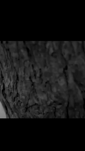 10K reactions · 2.7K shares | Her words>>✅ . . . #Long awaited msg.wanted to thank you from bottom of my heart for my wonderful makeup u did for my wedding day..it was so natural.. subtle.. ✅perfectly synced with lehenga..skin... It was just perfect!! For the engagement as well.. everything just fall in place...the hair.. makeup..want to thank your entire team for making me so beautiful that I only couldn't get off me | 98's | Facebook