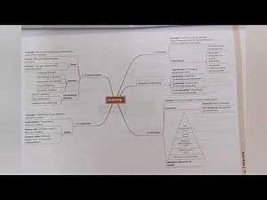 CLASS 12th|Commerce|BUSINESS STUDIES||All chapters||mind maps and on tip notes||Oswal publications