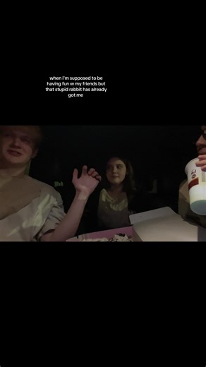 Experiencing Fun Distractions: The Rabbit Dilemma