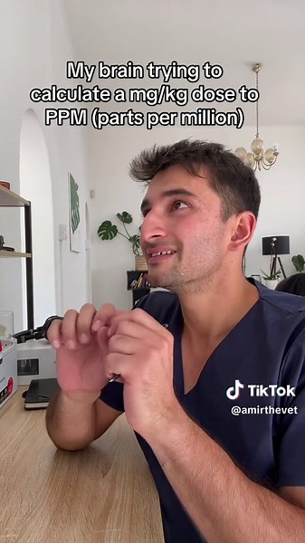 Basic Math Problem Solving: Two Apples and Simple Addition