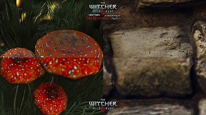 The Witcher 3 HD Reworked Project NextGen Mod Gets Texture Quality Preview
