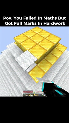 U Got Full Marks In HardWork #usa #minecraft