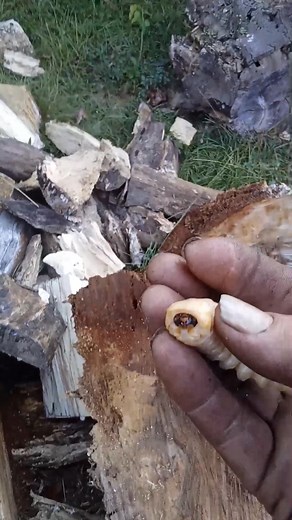 . Beautiful days 🙏 . Beautiful 🌎 | George Dyson