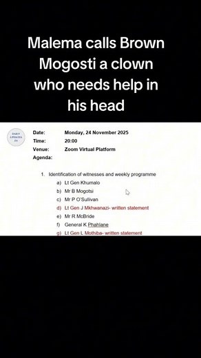 JULIUS MALEMA CALLS BROWN MOGOTSI A CLOWN!#brownmogotsi #juliusmalema