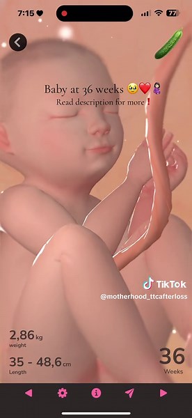 Understanding Your Baby's Development at 36 Weeks Pregnant