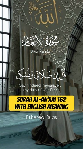 Surah Al-An'am with English Meaning #quran #quranrecitation #alquran #surah #qurantilawat #dua