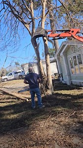 How to trim a crepe myrtle in less than 3 minutes | Robert Morse