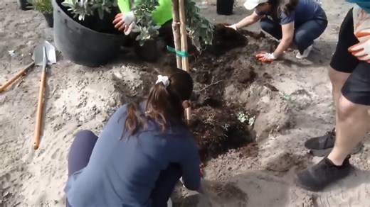 FIFA, Arbor Day Foundation, DERM host community tree planting event in Miami Gardens - WSVN 7News | Miami News, Weather, Sports | Fort Lauderdale
