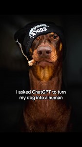 44K views · 1.6K reactions | #rubyTuesday. Westside#doberman #dobermann #rubydooby_do #dogsofinstagram | Rubydoobydo | Facebook