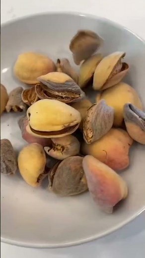 Kacang almond, rahasia kesehatan dari alam yang menakjubkan#shorts