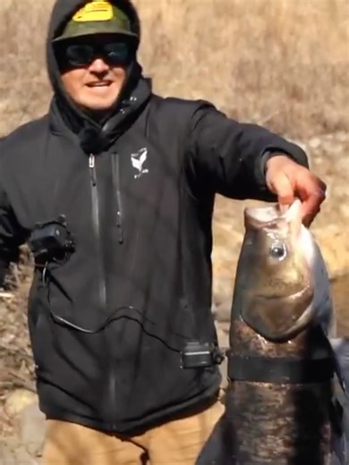 GoPro Underwater Fishing Challenge: Asian Carp Exploration