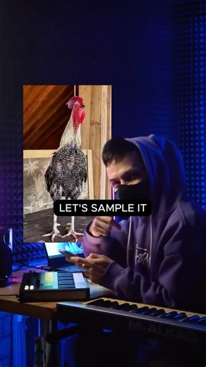 🎹 Sampling Random Sounds 🐓 #beatcookup