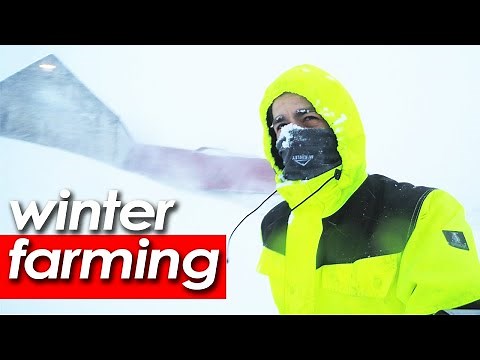Iceland Farmer versus EXTREME Winter Conditions...