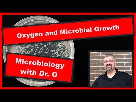 Oxygen Requirements for Growth: Microbiology