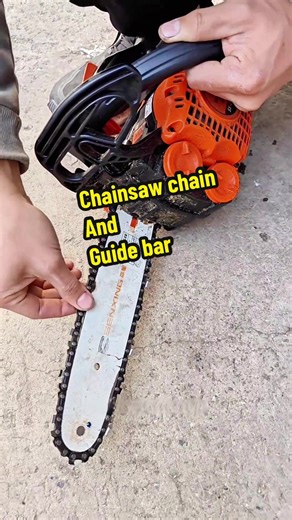 Expert Tips for Chainsaw Chain and Guide Bar Maintenance