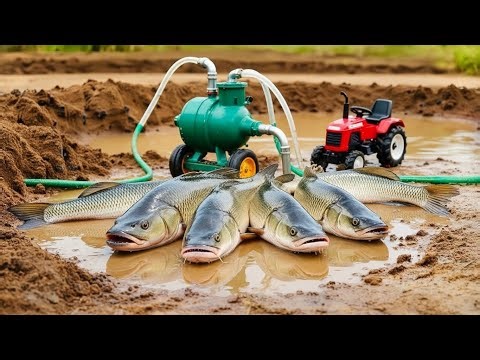 Catch fish using mini diesel engine water pump for fish | fishing exciting | diy tractor Full hd