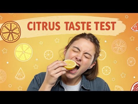 The ULTIMATE Citrus Taste Test Ranking 10 Types!