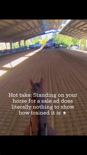 What do you think? #LikeFollowShare #equestrian #horses #fyp | horses