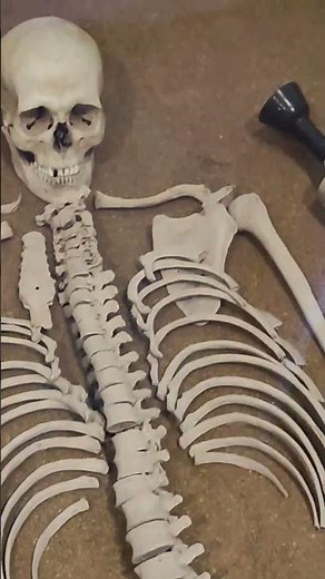 Ancient Greek burial Tomb with ancient urns National Archaeological Museum Athens Αρχαίος ελληνικός