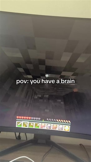 Minecraft: POV - You Have a Brain