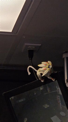 Trying to keep the monitor dry 😐. Your typical common work related problems. #worklife #rain #ohno #someonefixthis #funtimes