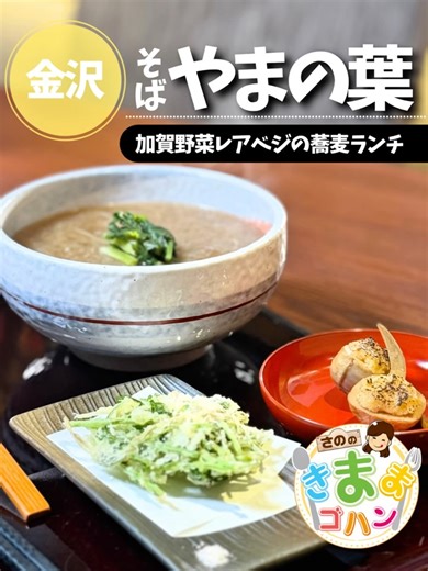 【公式】さののきままゴハン｜石川グルメ on Instagram: ". ༶ ༶ ༶ ༶ ༶ ༶ ༶ ༶ ༶ ༶ ༶ ༶ ༶ ༶ ༶ ༶ ༶ ༶ ༶ ༶ ༶ ༶ ༶ ༶ ༶ 「もっと石川の魅力を広げたい！」 「知らないままなんてもったいない！」 そんな想いから「さののきままゴハン(テレビ金沢)」と 「いしかわスタイル(米心石川)」でコラボ(共同投稿)を始めました✨ ぜひチェックしてみてください🎵 ༶ ༶ ༶ ༶ ༶ ༶ ༶ ༶ ༶ ༶ ༶ ༶ ༶ ༶ ༶ ༶ ༶ ༶ ༶ ༶ ༶ ༶ ༶ ༶ ༶ きままに😊加賀野菜のそばランチ リポーターの佐野ゆきほです🍚 @kimamagohan_telekin 現在開催中の「加賀野菜レアベジ 蕎麦ランチフェア」✨ 加賀野菜15品目の中でも特に生産者・生産量が少ない希少品目「金沢せり」「くわい」「二塚からしな」を使用したお蕎麦が、２月８日まで金沢市内の人気のおそば屋さん５店舗で楽しめます😊 きままゴハンでは、「そば やまの葉」さんへお邪魔しました♪ 🍜冬の加賀野菜 そば膳 