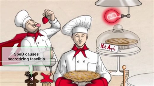 1.3 - Strep pyogenes (Group A Strep)