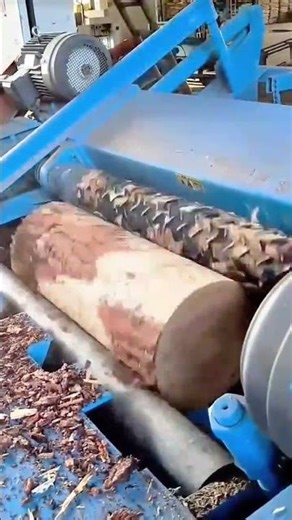 Stripping Tree Bark Using An Automatic Machine For A Smooth Wood Surface In A Lumber Mill