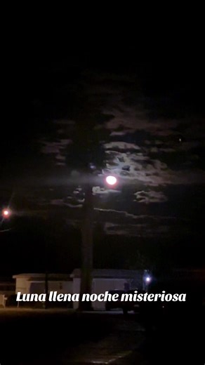 Jaiden (@aidamojica82)’s videos with Supernatural Ambient_UMA, UFO, Ghost, Haunted, Doomsday Prophecies, Alien Encounters, Life After Life, Bermuda Triangle, Psychic(1094836) - Ney