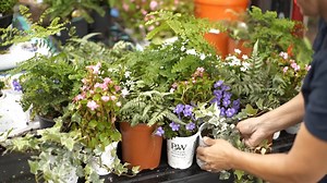 Spruce up your windows with DIY flower boxes! 🌸🌿 Jenn Nawada and Nathan Gilbert team up for this simple project. | This Old House