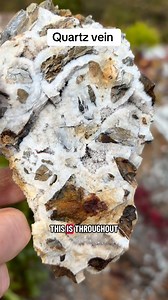 Quartz vein a complex structure, #quartz #prospecting #vein | Wild Earth Treasures