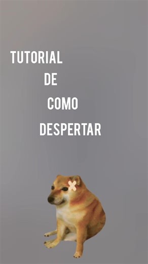 Tutorial, de como despertar😁🏙.