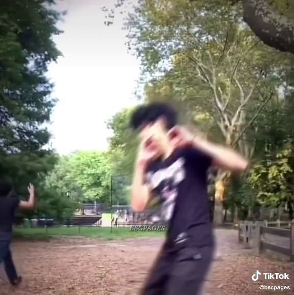 Patriotic TikTok Tribute by Bodhi Sabongui