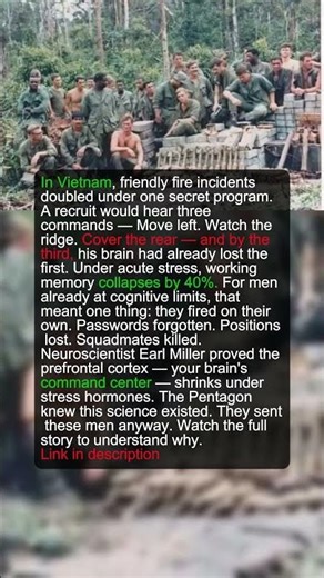 US Soldiers Killed by Their Own Men — The Dark Secret of Vietnam | Military History Talks