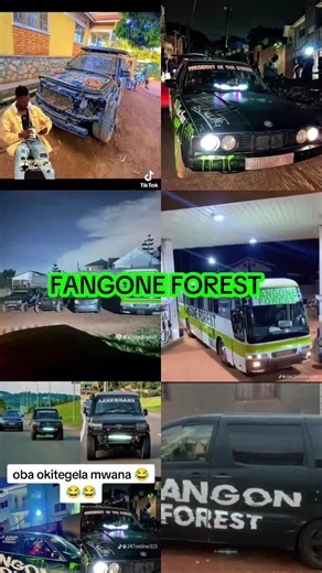 #ppppppppppppppp#Legendary alien skin fangone forest ceo top10☝️🤞✌️🤘👌👌🔥🔥#fypageシ #goviral #