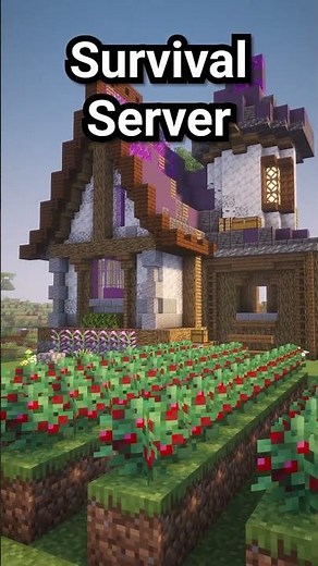 Minecraft Server for summer break 🔆