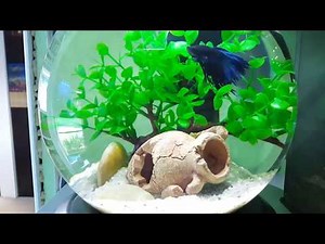 Аквариум Tetra Cascade Globe